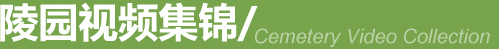 陵园视频集锦